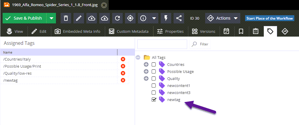 Assign new tag by API