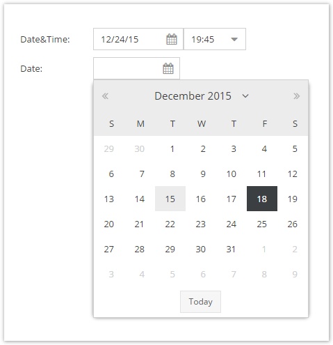 Date Field