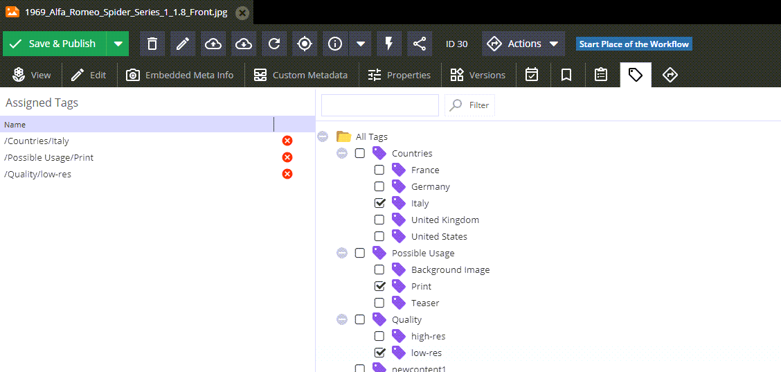 API for gettings tags for the shown demo asset.