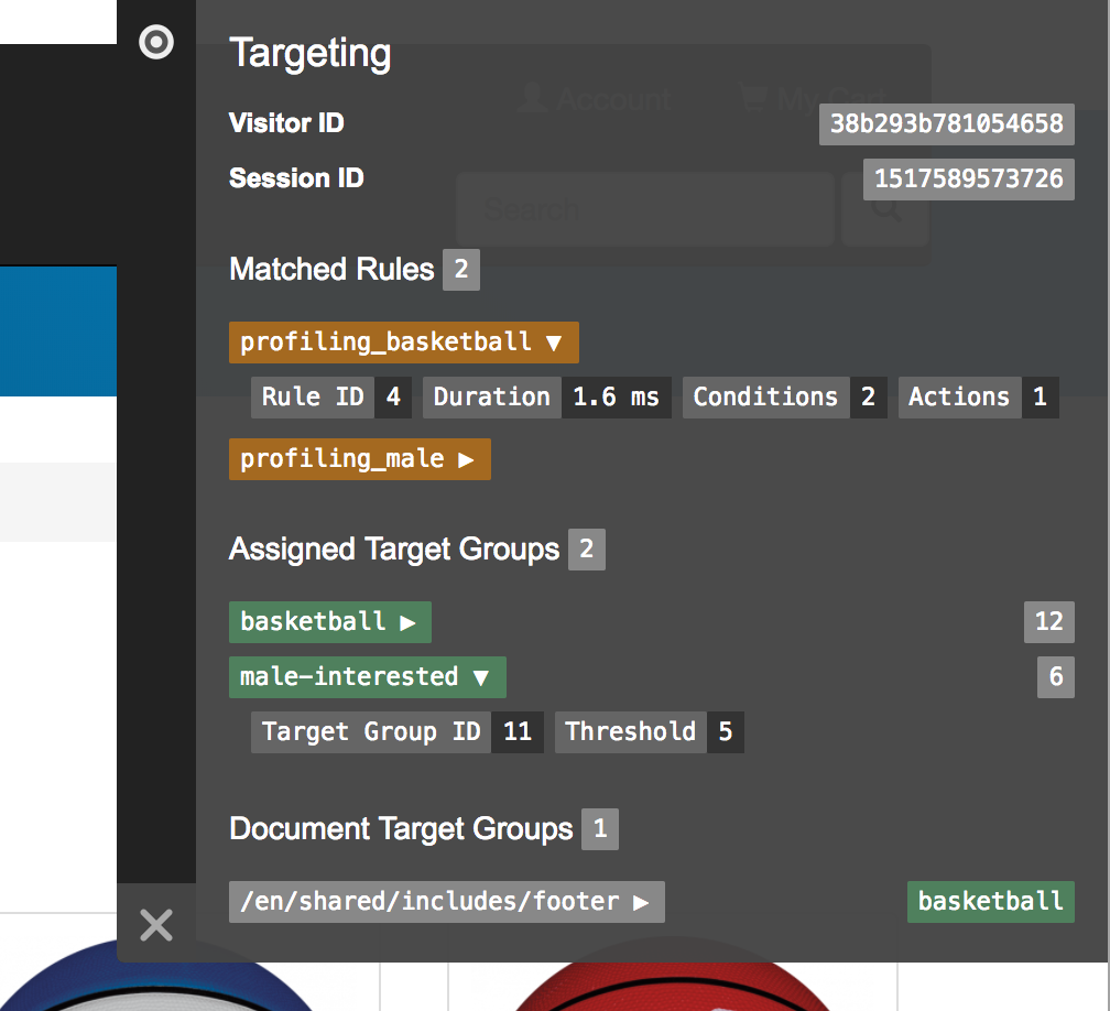 Targeting Debug Toolbar