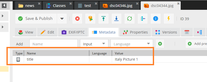 Asset Metadata