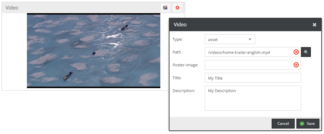 Video Field