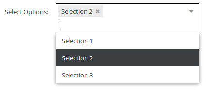Select Types - Pimcore