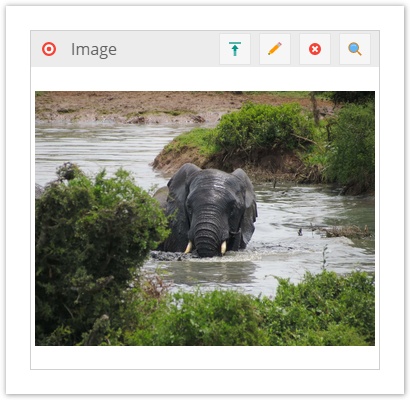 Image Field