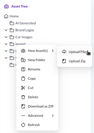Upload assets