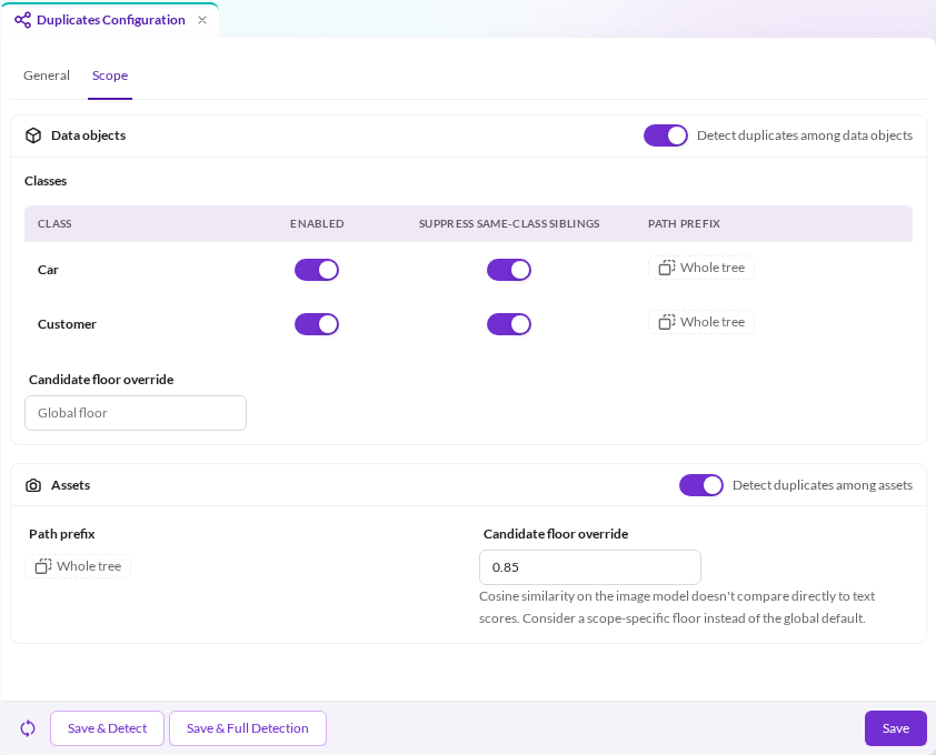 The Scope tab of the duplicates configuration
