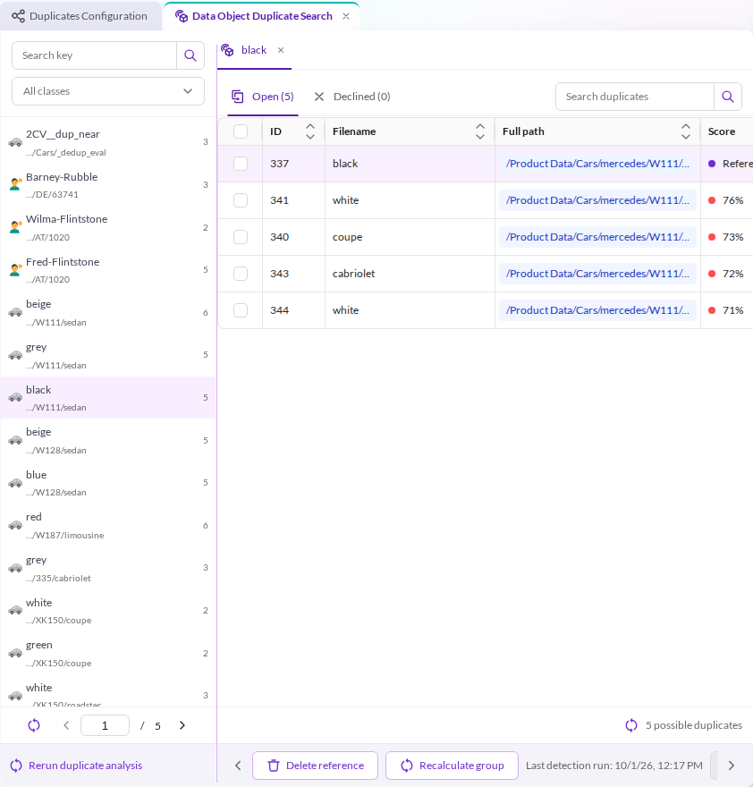 The data object duplicate review screen
