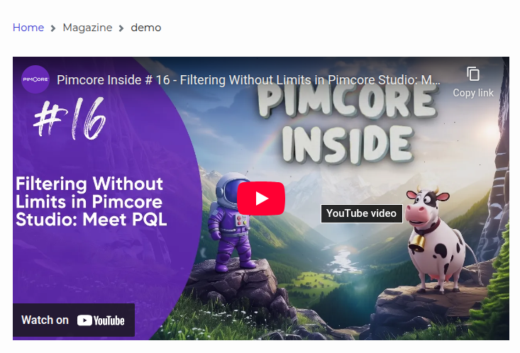 Video editable - YouTube configuration - frontend