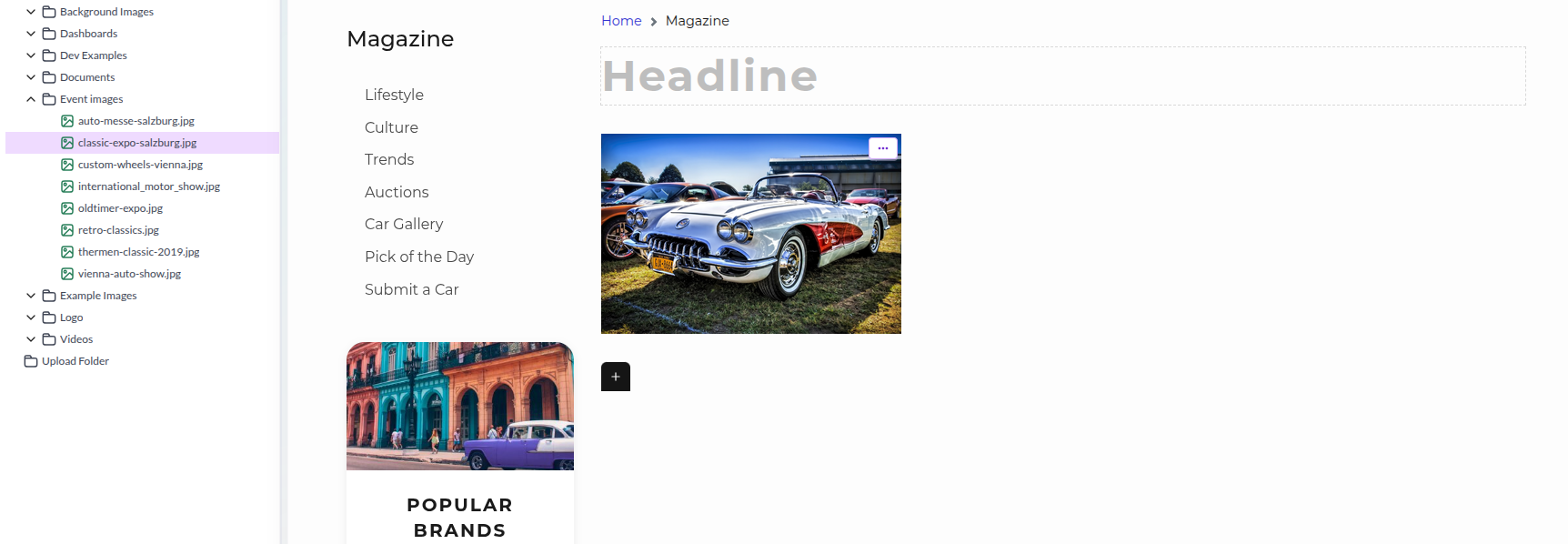 Image with title and specified size - the backend preview