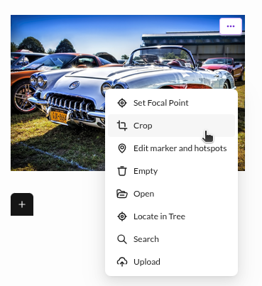 image options in the editmode