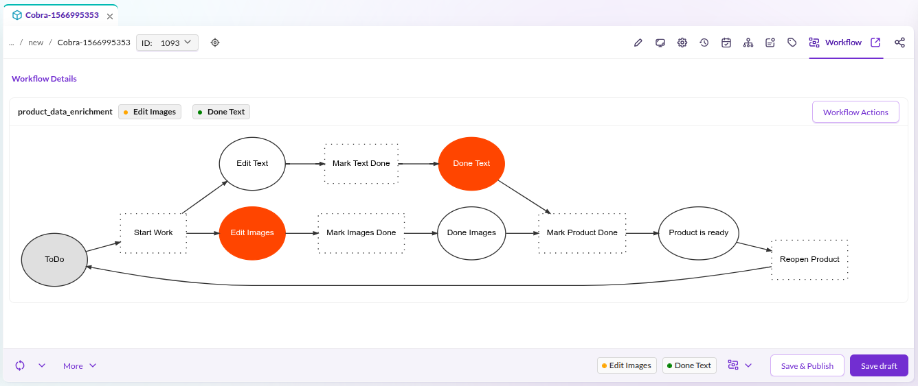 Workflow Overview